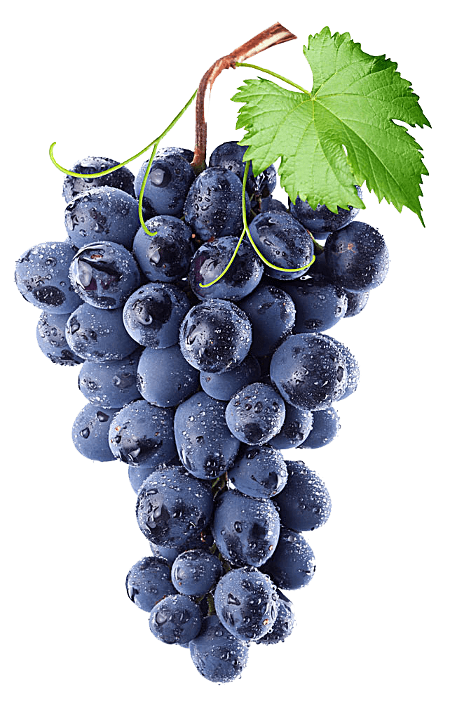 Black grapes