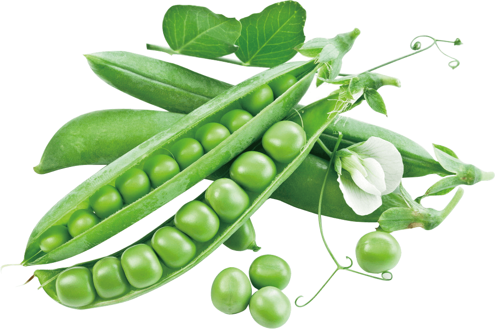 Peas